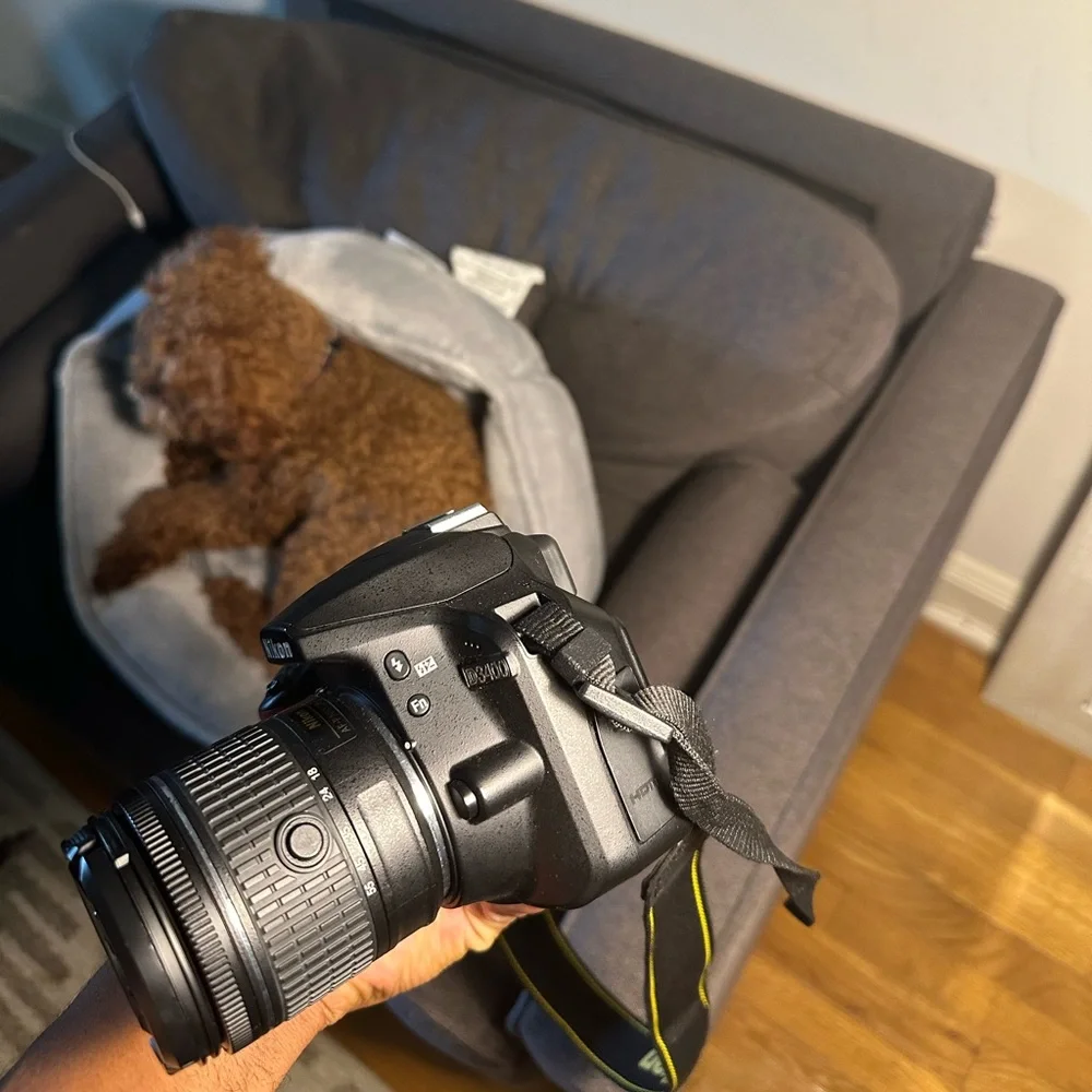 Nikon d3400 dslr